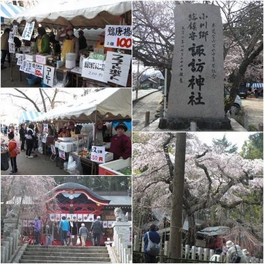 境内では売店も賑わってました